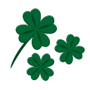 clover