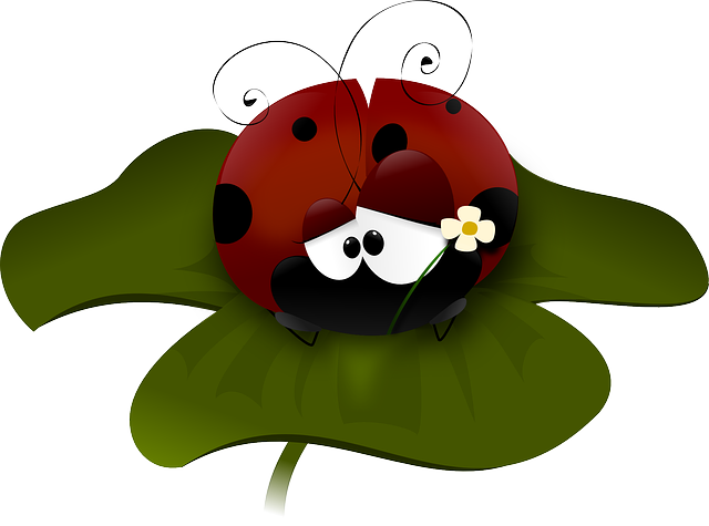 ladybug